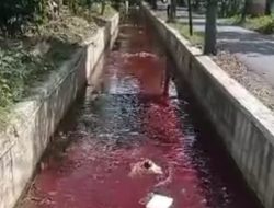 Geger! Sungai di Kota Pamekasan Berwarna Merah seperti Darah