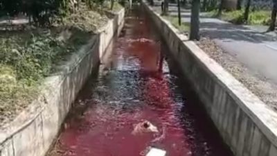 Geger! Sungai di Kota Pamekasan Berwarna Merah seperti Darah